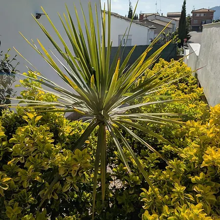 Pinemar & Relax Vil·la